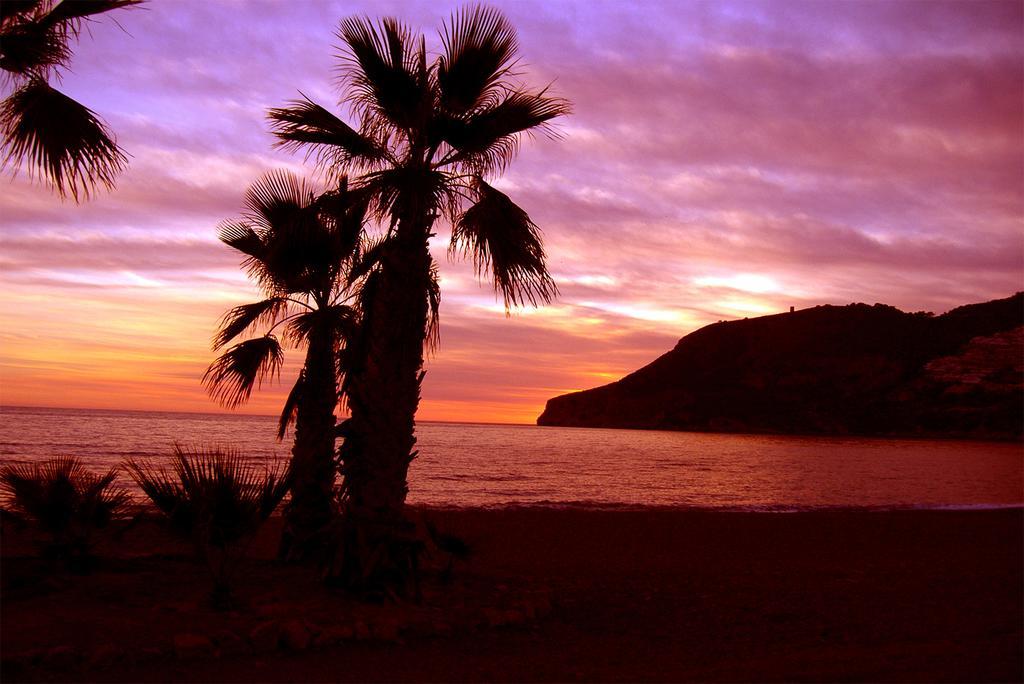 Pension La Herradura Dış mekan fotoğraf
