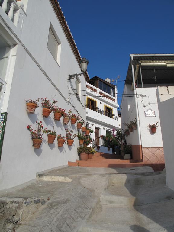 Pension La Herradura Dış mekan fotoğraf