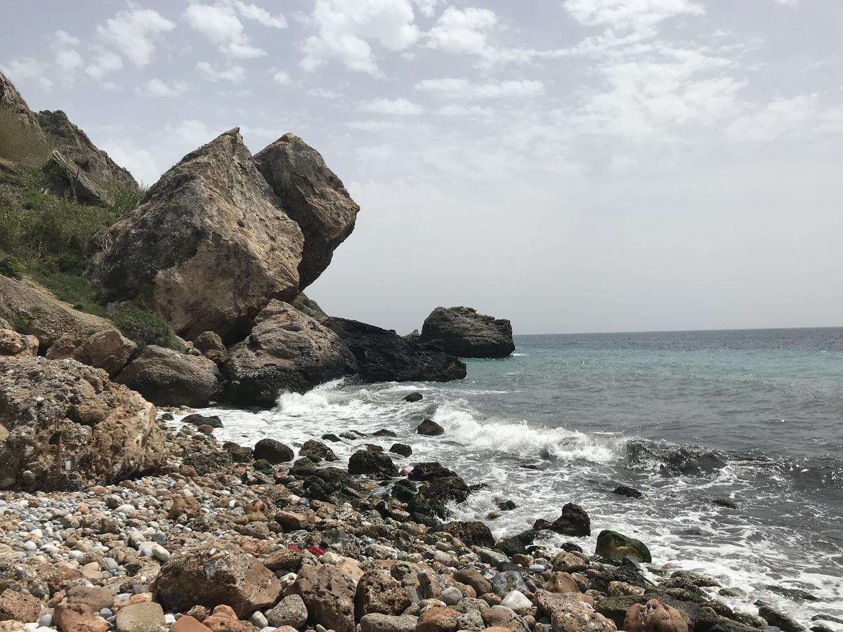 Pension La Herradura Dış mekan fotoğraf